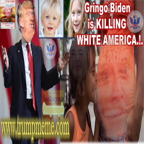 TRUMP MEMES | 41 | Senior Biden is Killing the Future of White American Children. Why do we need more Guatemalans and Hondurans? Why are we having people from all these TACO-Stand countries come here? We should have more people from places like Norway.
