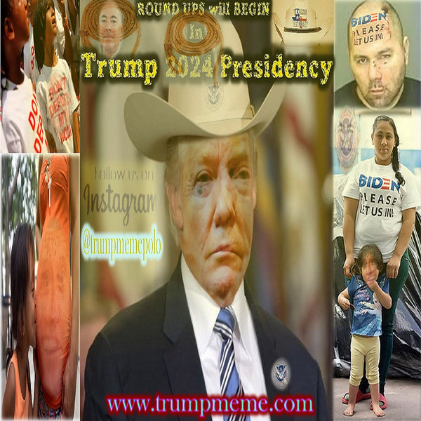 TRUMP MEMES 31 Illegal immigration affects the lives of all Americans. Illegal immigration hurts American workers; burdens American taxpayers; and undermines public safety: and places enormous strain on local schools, hospitals, and communities in general