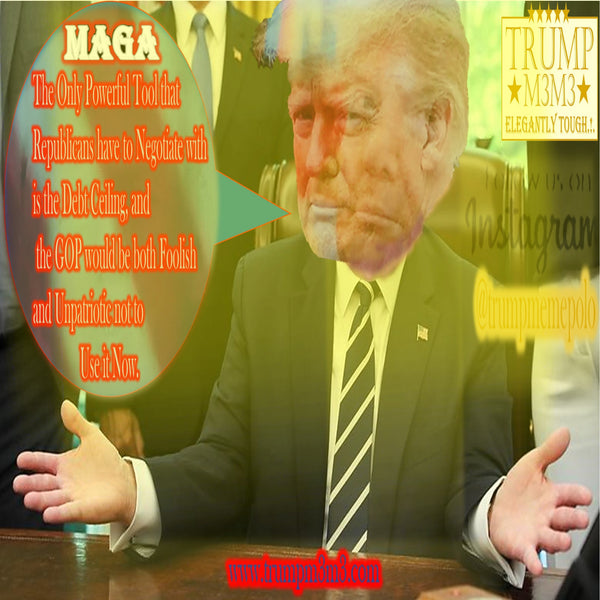 Trump Memes - 10 - The only Powerful Tool the Republicans have to negotiate with is the Debt Ceiling,.