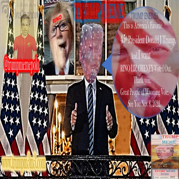 Trump Memes - |02| - President Trump Wants RINO Liz Cheney Voted Out, Great People of Wyoming