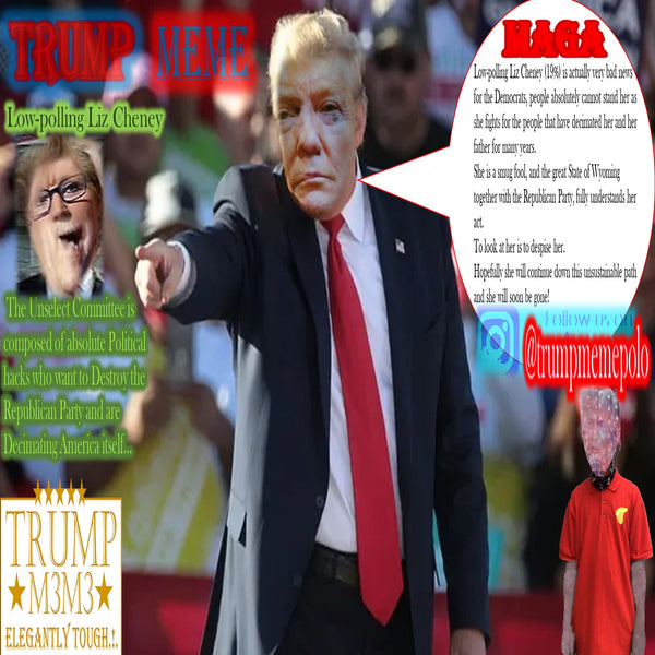 Trump Memes - 05 - Trump Enemies -Low-Polling Liz Cheney -10-21-2021